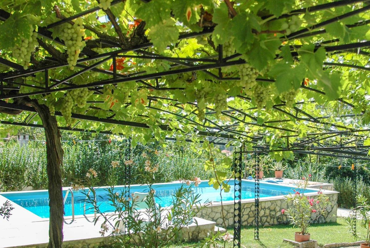 Villa Regina Serafina 발치크 외부 사진